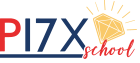 P17X Logo