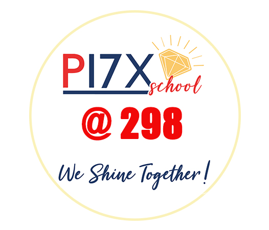 P17X Logo