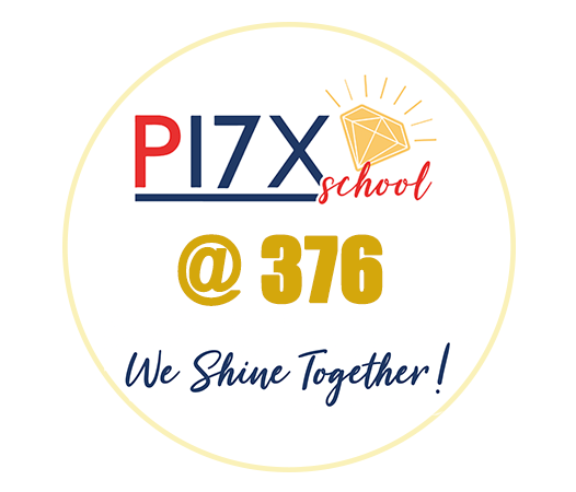 P17X Logo 376