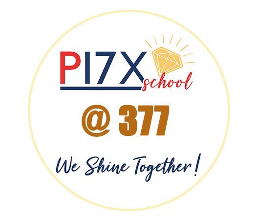 P17X Logo 377