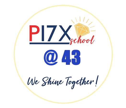 P17X Logo